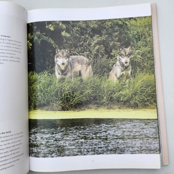 Spirit of the Wolf: Hardcover Book Coffee Table Decor Mythical Hunter of the Wil - Picture 11 of 16